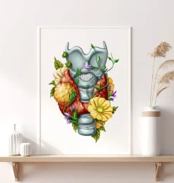 Adénome thyroïdien - Floral - Blanc-Codex Anatomicus