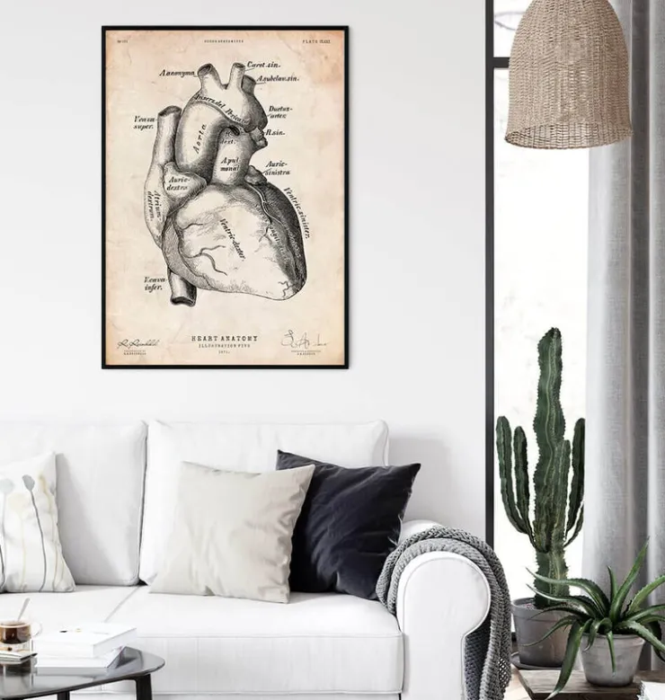 Affiche d'anatomie cardiaque II-Codex Anatomicus