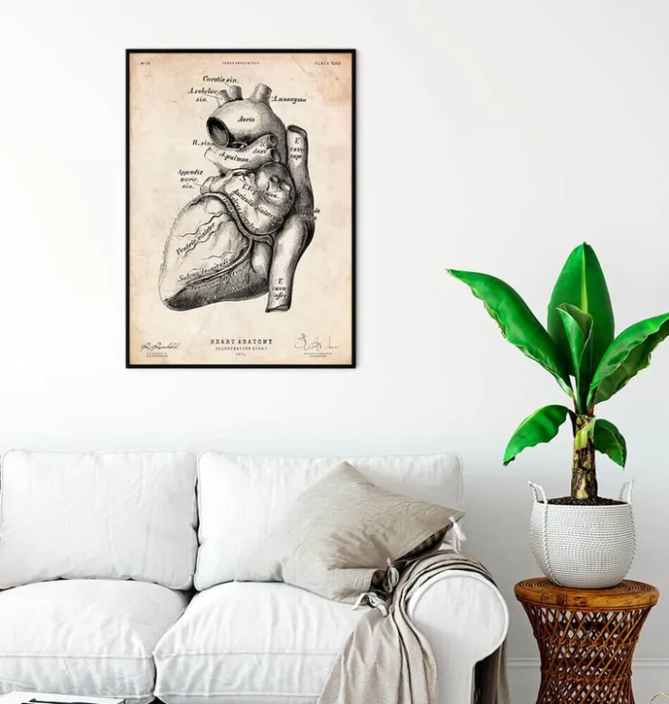 Affiche d'anatomie cardiaque-Codex Anatomicus Discount