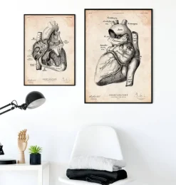Affiche d'anatomie cardiaque-Codex Anatomicus Discount