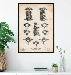 Affiche d'anatomie de la colonne vertébrale-Codex Anatomicus Outlet