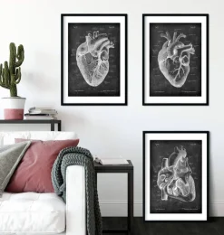 Anatomie cardiaque - Chalkboard - Lot de 3-Codex Anatomicus Discount