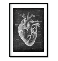 Anatomie cardiaque - Chalkboard - Lot de 3-Codex Anatomicus Discount