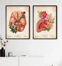 Anatomie cardiaque - Floral - Vieux papiers-Codex Anatomicus Online