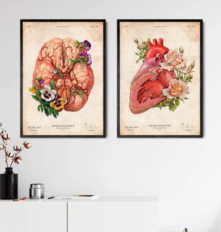 Anatomie cardiaque - Floral - Vieux papiers-Codex Anatomicus Online
