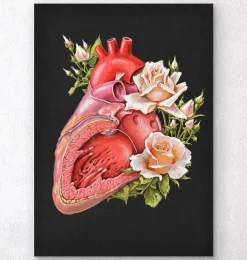 Anatomie cardiaque - Floral - Noir-Codex Anatomicus