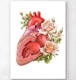 Anatomie cardiaque - Floral - Blanc-Codex Anatomicus Best