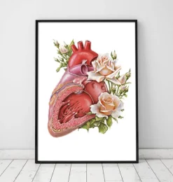 Anatomie cardiaque - Floral - Blanc-Codex Anatomicus Best