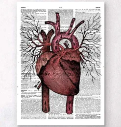 Anatomie cardiaque - Page du dictionnaire-Codex Anatomicus Best