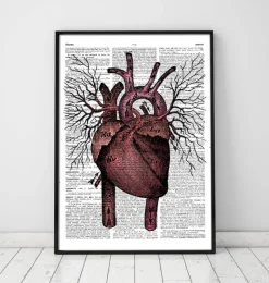 Anatomie cardiaque - Page du dictionnaire-Codex Anatomicus Best