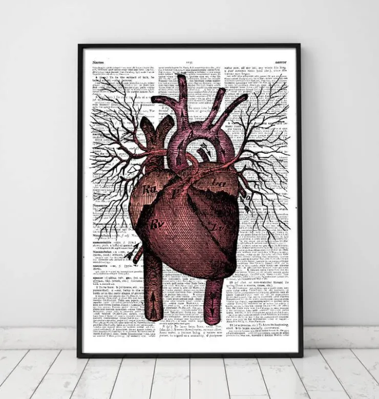 Anatomie cardiaque - Page du dictionnaire-Codex Anatomicus Best