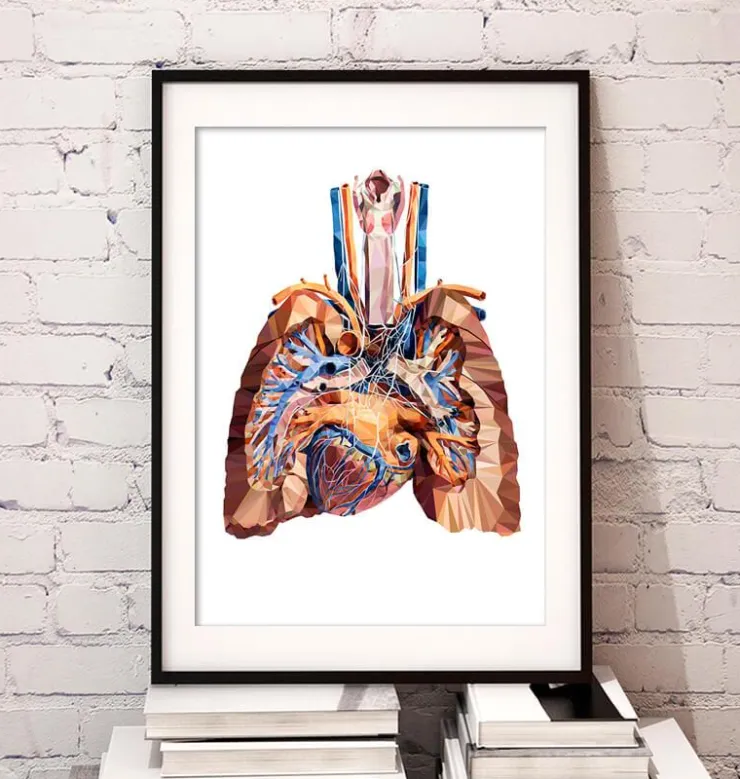 Anatomie cardiaque et pulmonaire III-Codex Anatomicus New