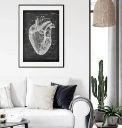 Anatomie cardiaque I - Chalkboard-Codex Anatomicus Online