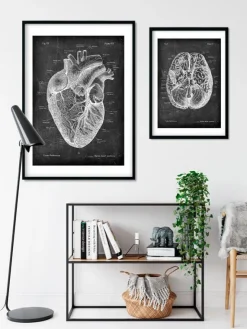 Anatomie cardiaque I - Chalkboard-Codex Anatomicus Online