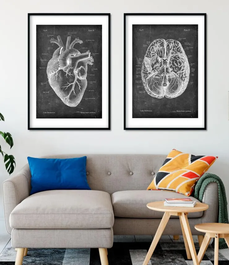 Anatomie cardiaque II - Chalkboard-Codex Anatomicus Clearance