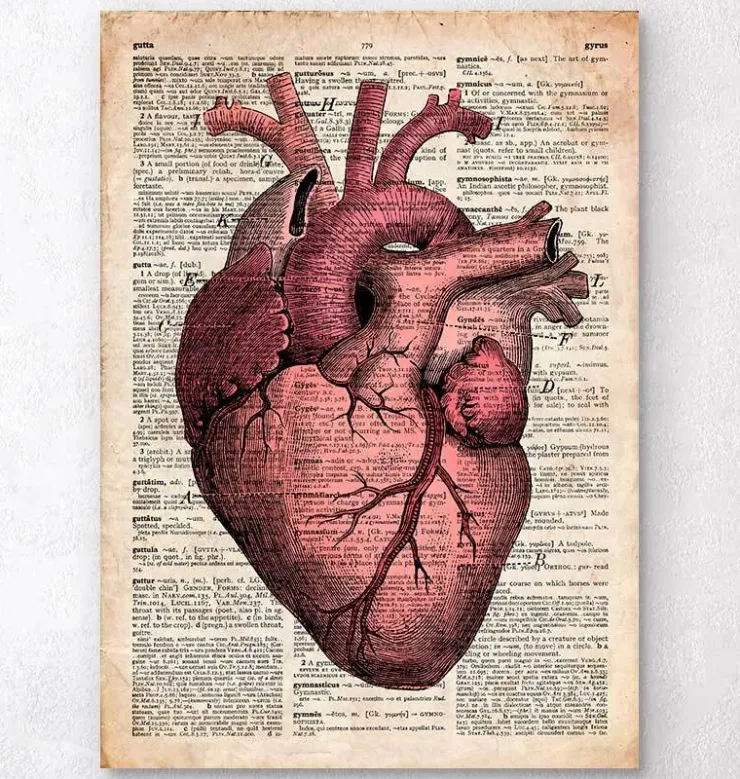 Anatomie cardiaque III - Ancienne page de dictionnaire-Codex Anatomicus Outlet