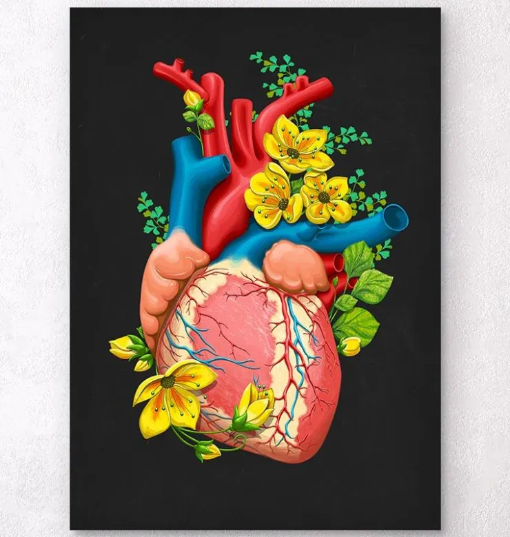 Anatomie cardiaque III - Floral - Noir-Codex Anatomicus Best