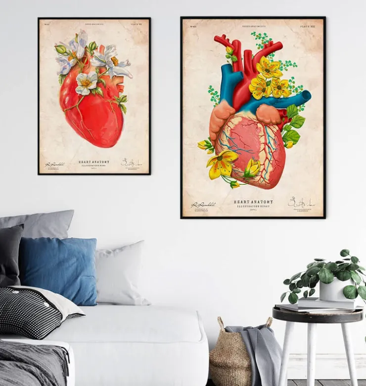 Anatomie cardiaque III - Floral - Vintage-Codex Anatomicus Clearance
