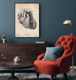 Anatomie cardiaque IV-Codex Anatomicus Sale