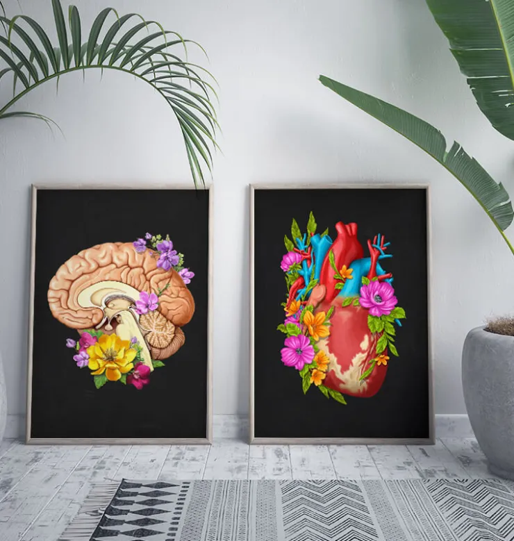 Anatomie cardiaque IV - Floral - Noir-Codex Anatomicus