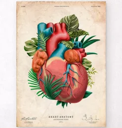 Anatomie cardiaque V - Floral - Vintage-Codex Anatomicus Best