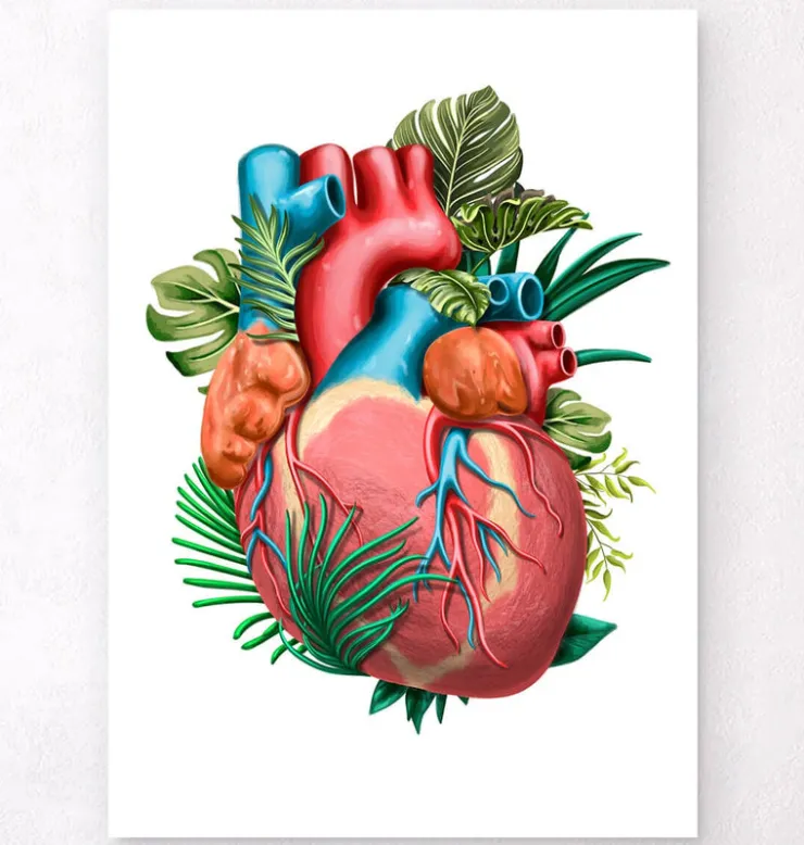 Anatomie cardiaque V - Floral - Blanc-Codex Anatomicus Online