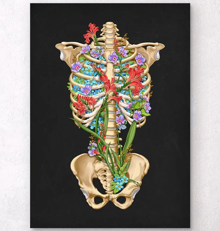 Anatomie de la cage thoracique - Floral - Noir-Codex Anatomicus New