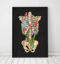 Anatomie de la cage thoracique - Floral - Noir-Codex Anatomicus New