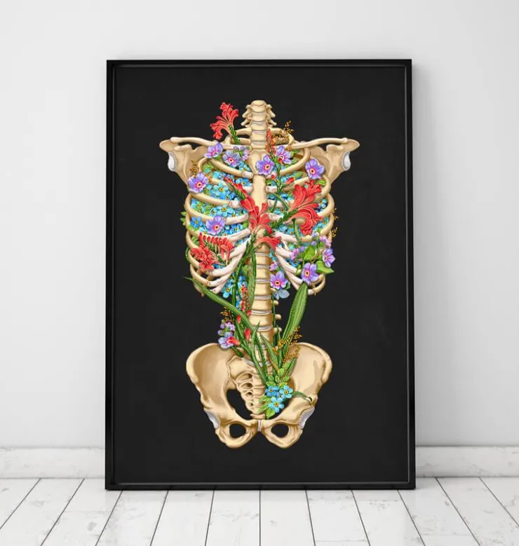 Anatomie de la cage thoracique - Floral - Noir-Codex Anatomicus New