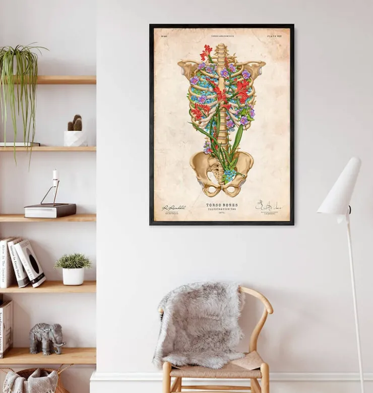 Anatomie de la cage thoracique II - Floral - Vintage-Codex Anatomicus Outlet