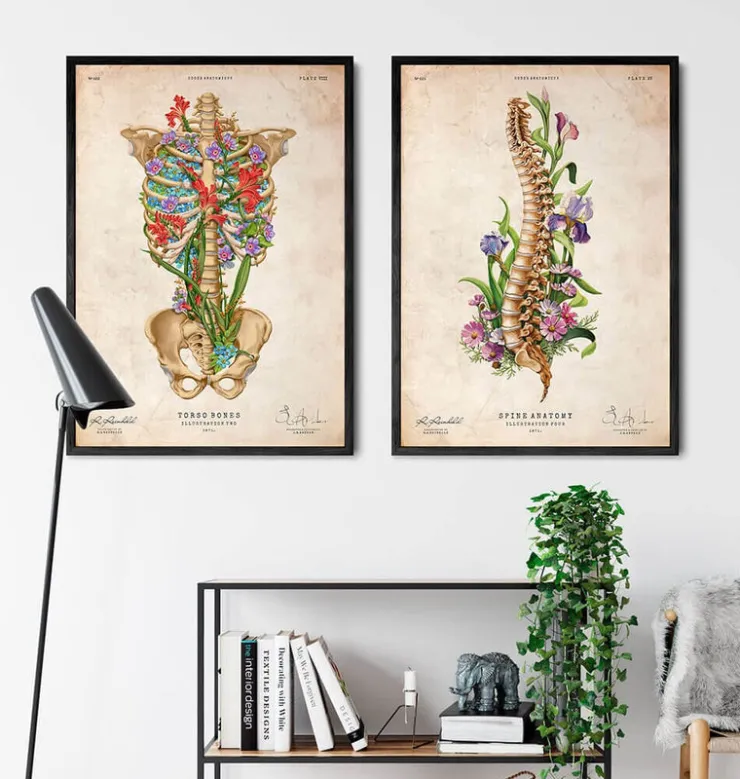 Anatomie de la cage thoracique II - Floral - Vintage-Codex Anatomicus Outlet