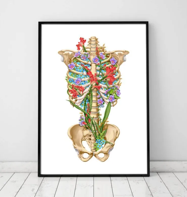 Anatomie de la cage thoracique - Floral - Blanc-Codex Anatomicus Online
