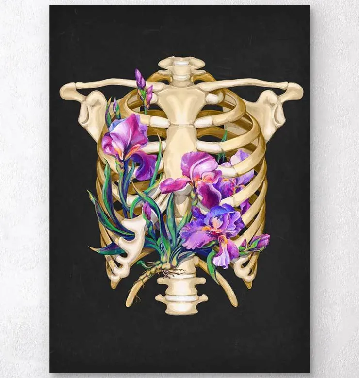 Anatomie de la cage thoracique - Floral - Noir-Codex Anatomicus Best