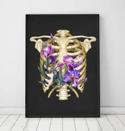Anatomie de la cage thoracique - Floral - Noir-Codex Anatomicus Best
