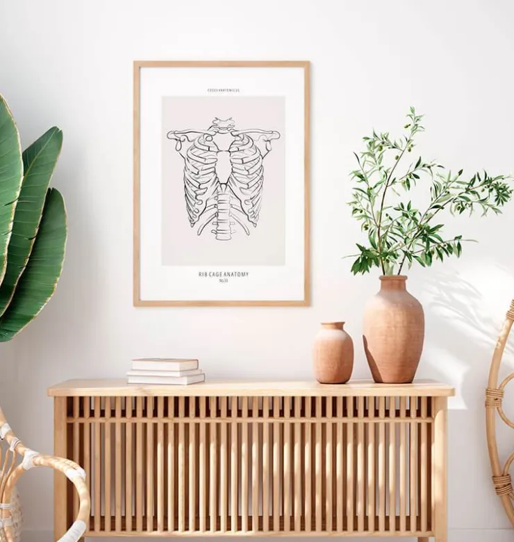 Anatomie de la cage thoracique - Line Art-Codex Anatomicus Outlet