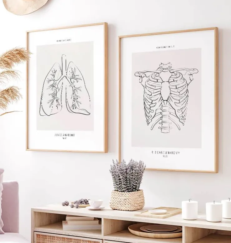 Anatomie de la cage thoracique - Line Art-Codex Anatomicus Outlet