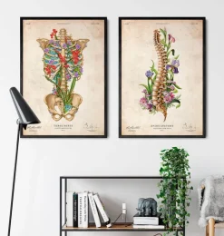 Anatomie de la colonne vertébrale - Floral - Vieux papier-Codex Anatomicus Outlet