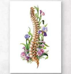 Anatomie de la colonne vertébrale - Floral - Blanc-Codex Anatomicus Outlet