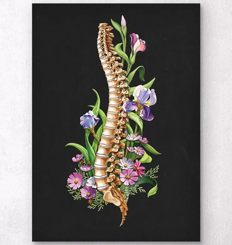 Anatomie de la colonne vertébrale - Floral - Noir-Codex Anatomicus Discount
