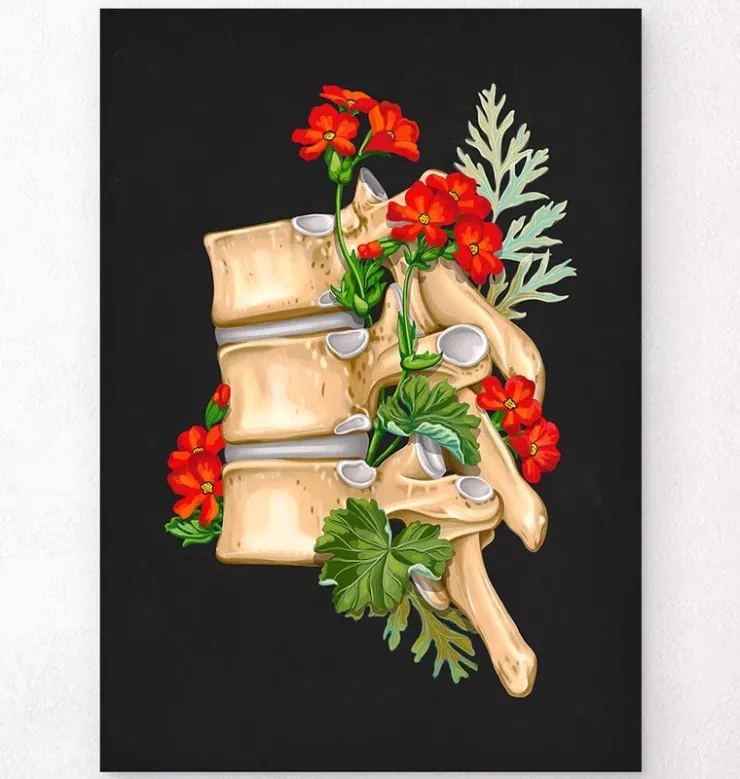 Anatomie de la colonne vertébrale II - Floral - Noir-Codex Anatomicus