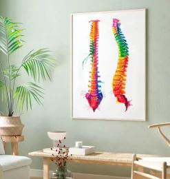 Anatomie de la colonne vertébrale - Aquarelle-Codex Anatomicus Discount