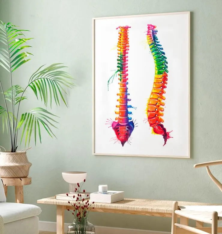 Anatomie de la colonne vertébrale - Aquarelle-Codex Anatomicus Discount