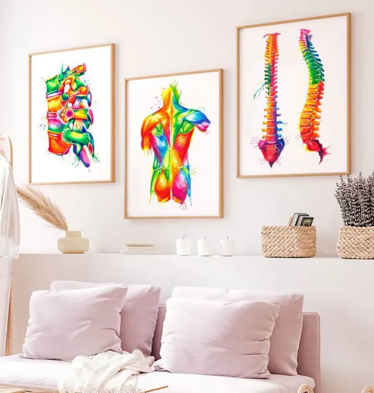 Anatomie de la colonne vertébrale - Aquarelle-Codex Anatomicus Discount