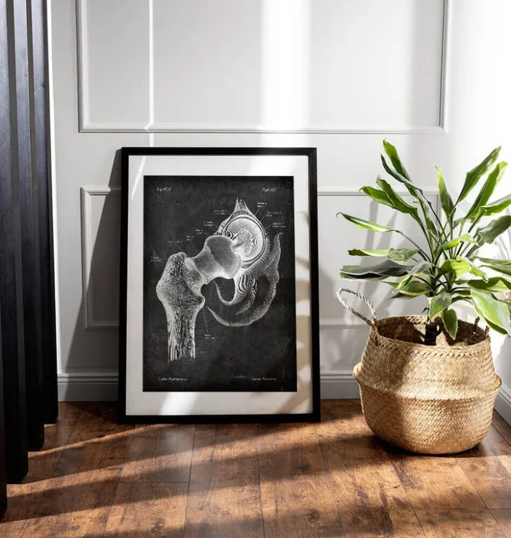 Anatomie de la hanche - Chalkboard-Codex Anatomicus Outlet