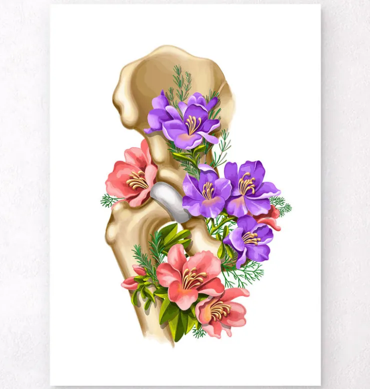 Anatomie de la hanche - Floral - Blanc-Codex Anatomicus