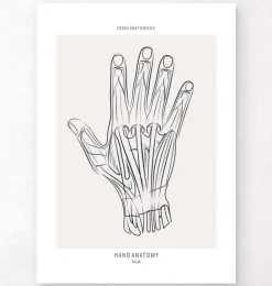 Anatomie de la main - Line Art-Codex Anatomicus Online