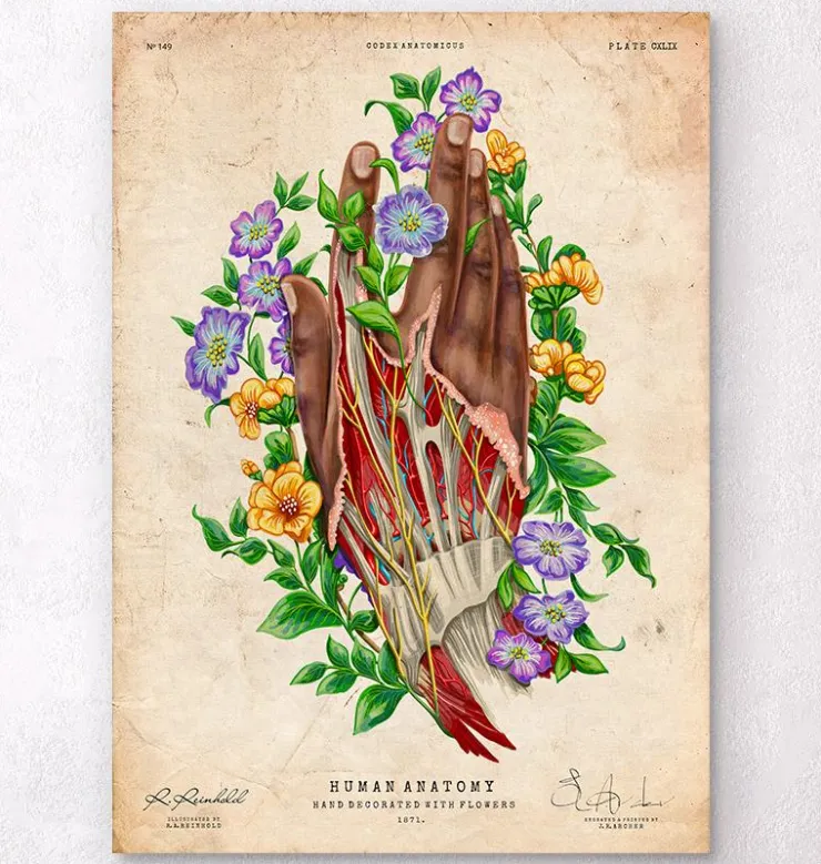 Anatomie de la main - Peau foncée-Codex Anatomicus Hot