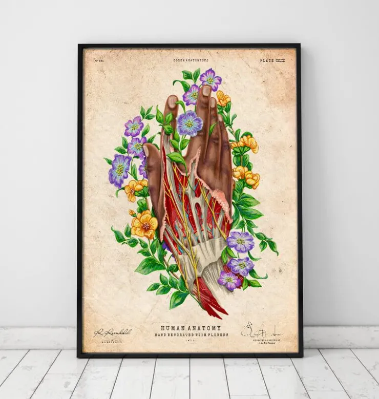 Anatomie de la main - Peau foncée-Codex Anatomicus Hot