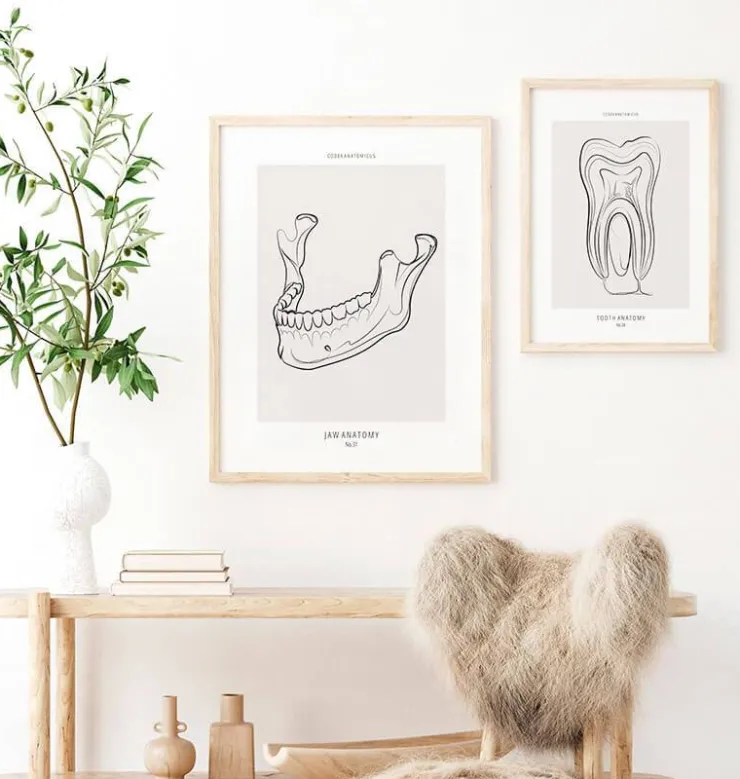 Anatomie de la mâchoire - Line Art-Codex Anatomicus New