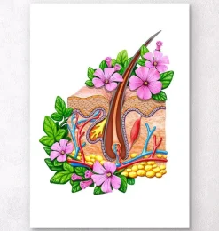 Anatomie de la peau - Floral - Blanc-Codex Anatomicus Hot